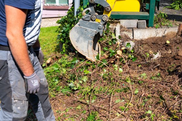 Hedge Removal Service in Palm Springs