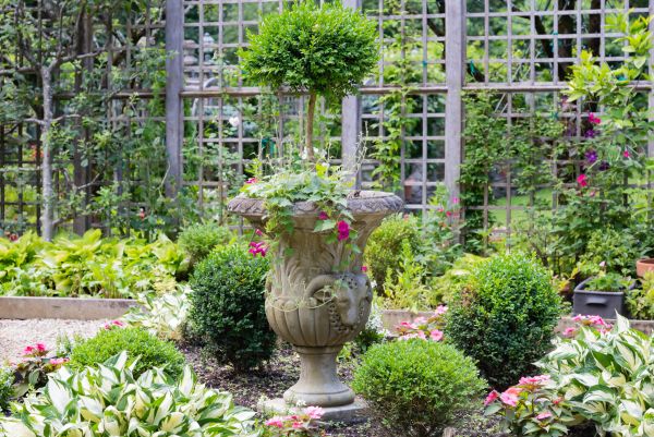Cost of Topiary Pruning in Palm Springs