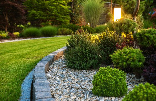 Cost of Bush Relocation in Palm Springs