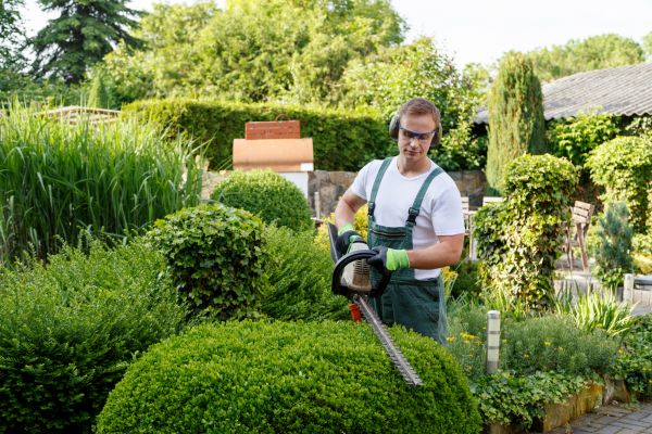 Shrubs Trimming in Palm Springs