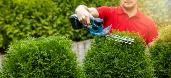 Cost of Hedge Shaping Service in Palm Springs