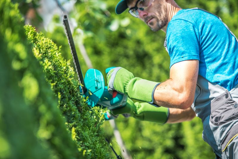 Landscaper Using Pruning Tools